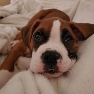 ACCEPTING OFFERS CLOSET CLEAN OUT